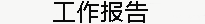 工作報告